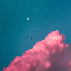 五月天丁香成人在线视频
