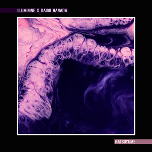 五月天丁香成人在线视频
